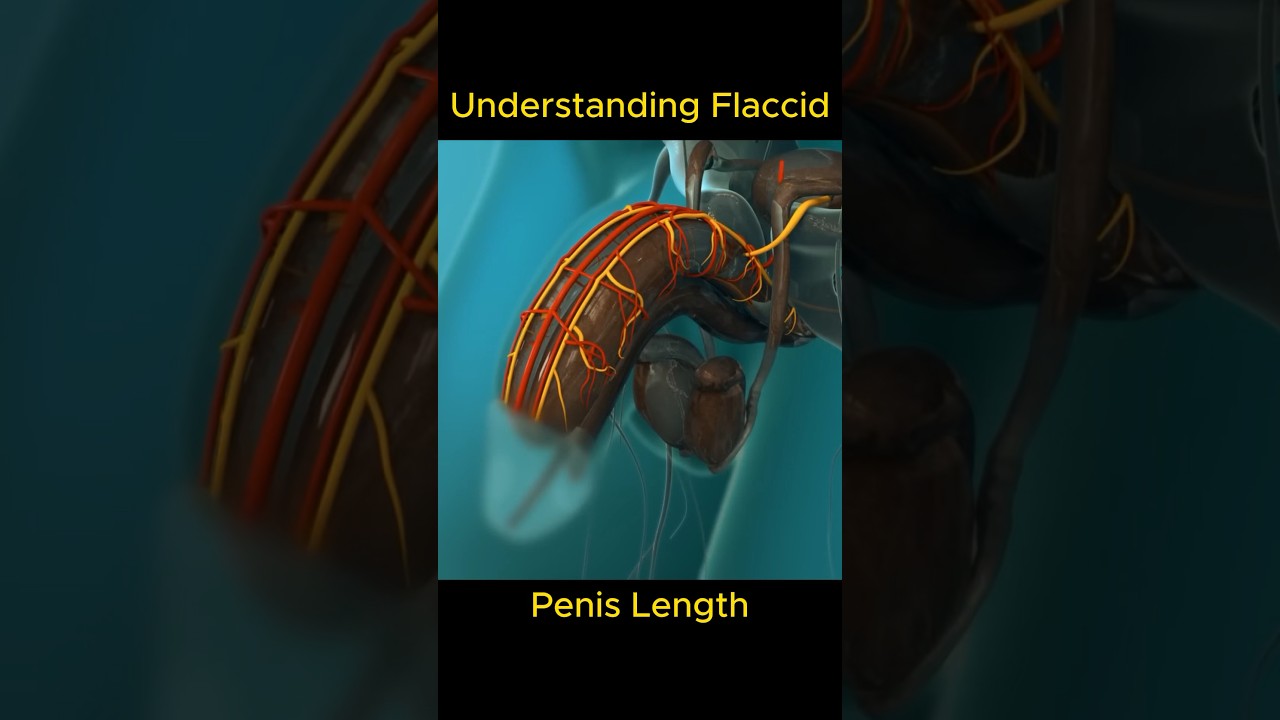 Ejaculation Techniques