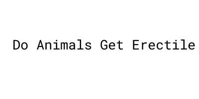 Do Animals Get Erectile Dysfunction：Do They Work？- MORELOS